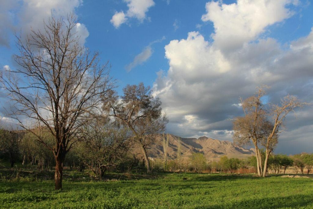 دامنه‌های کوه آریا